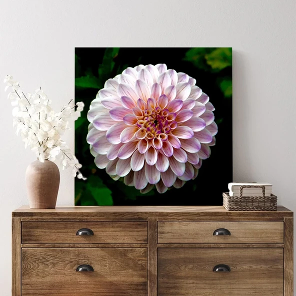 Pembe Yıldız Çiçeği Kanvas Tablo - Resim 3