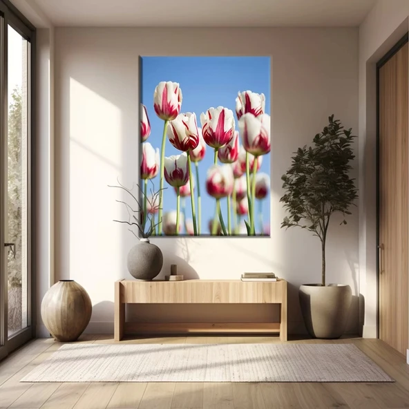 Beyaz Pembe Laleler Kanvas Tablo ürün görseli