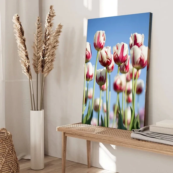 Beyaz Pembe Laleler Kanvas Tablo - Resim 3