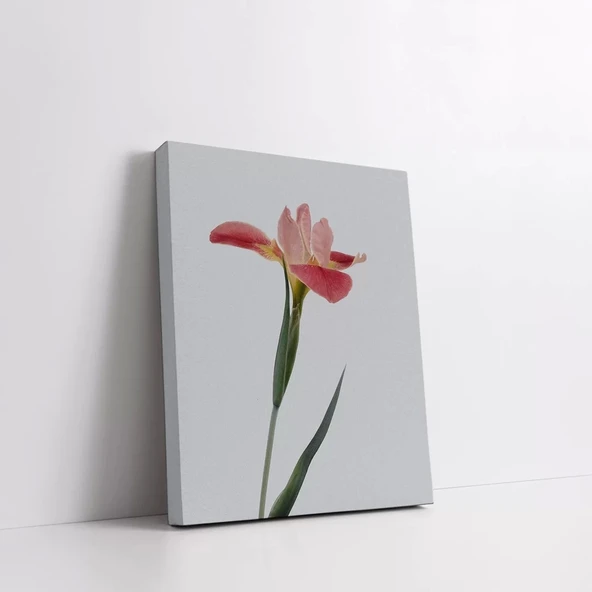 Pembe Lale Buketi Kanvas Tablo - Resim 2