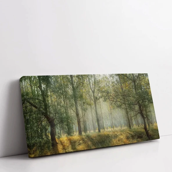 Sisler Arasında Kanvas Tablo - Resim 2