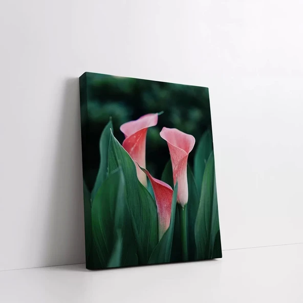 Pembe Zambak Kanvas Tablo - Resim 2