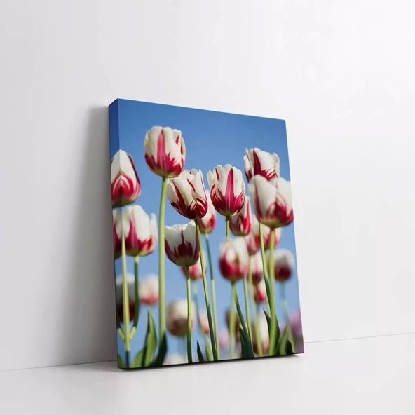 Beyaz Pembe Laleler Kanvas Tablo - Resim 2