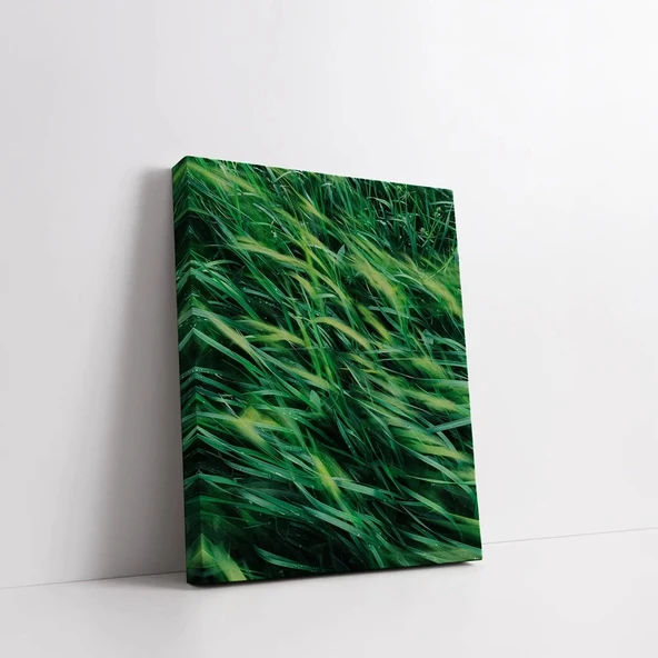 Çimenlerin Rüyası Kanvas Tablo - Resim 2