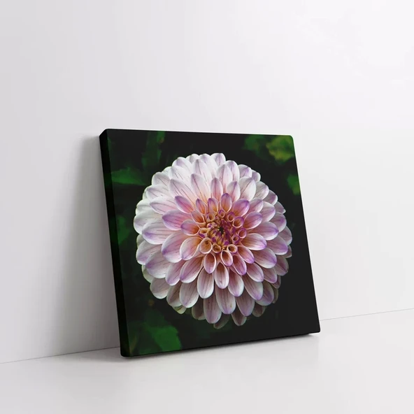 Pembe Yıldız Çiçeği Kanvas Tablo - Resim 2