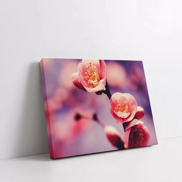 Pembe Sakura Kanvas Tablo - Resim 2