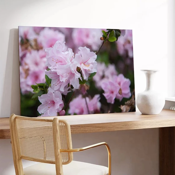 Pembe Açelyalar Kanvas Tablo - Resim 3