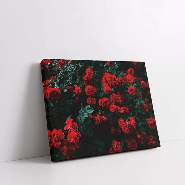 Kasımpatı Kanvas Tablo - Resim 2