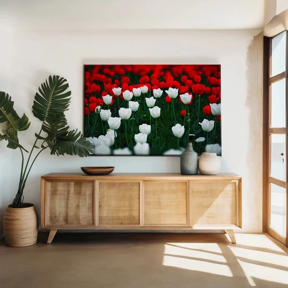 Kırmızı Beyaz Lale Bahçesi Kanvas Tablo ürün görseli
