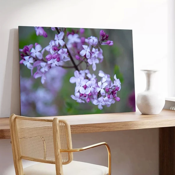 Lila Rengi Çiçeği Kanvas Tablo - Resim 3
