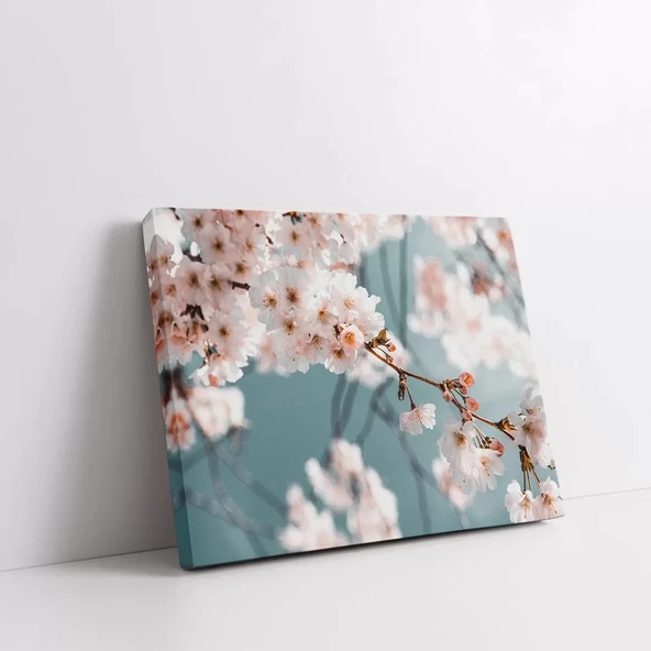 Kiraç Çiçeği Kanvas Tablo - Resim 2