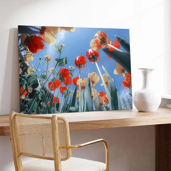 Gökyüzüne Uzanan Gelincikler Kanvas Tablo - Resim 3