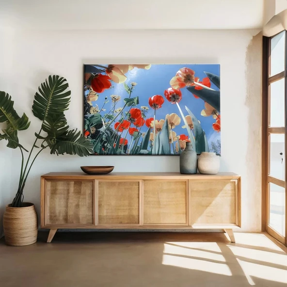 Gökyüzüne Uzanan Gelincikler Kanvas Tablo ürün görseli