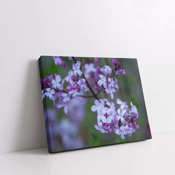 Lila Rengi Çiçeği Kanvas Tablo - Resim 2