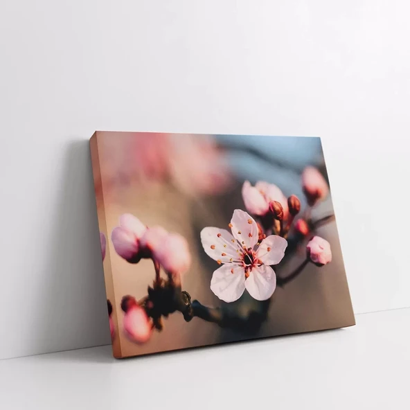 Bahar Dalı Kanvas Tablo - Resim 2