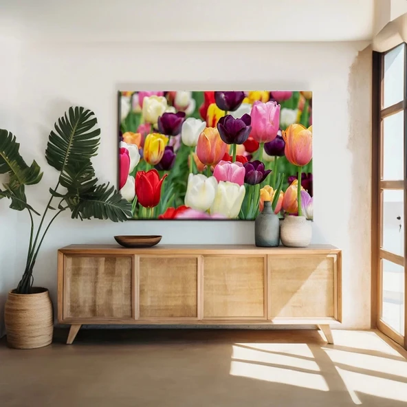 Renkli Laleler Kanvas Tablo ürün görseli