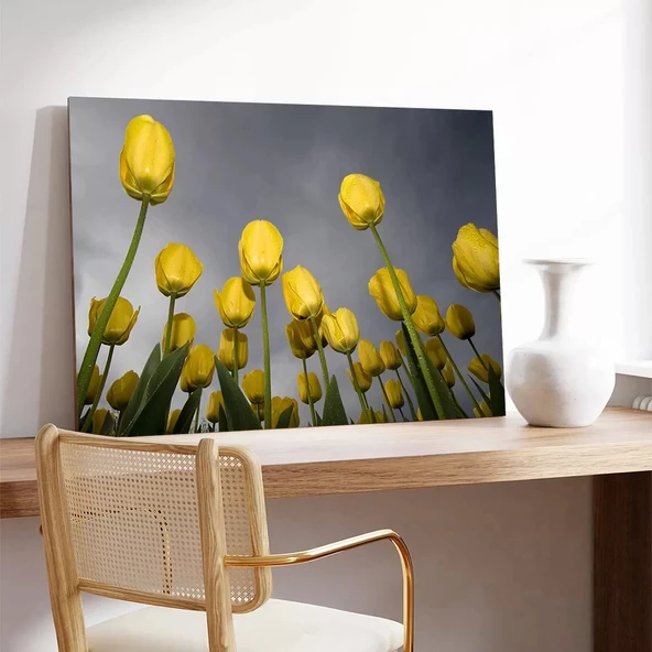 Uzanan Sarı Laleler Kanvas Tablo - Resim 3
