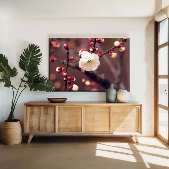 Kiraç Çiçeği Kanvas Tablo ürün görseli