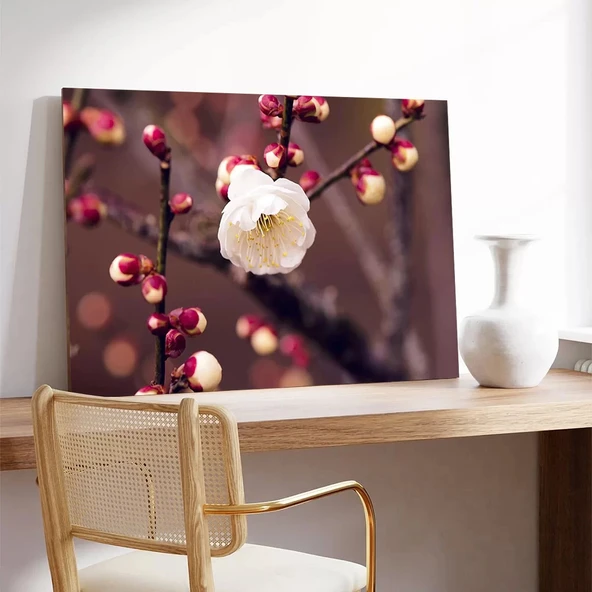 Kiraç Çiçeği Kanvas Tablo - Resim 3