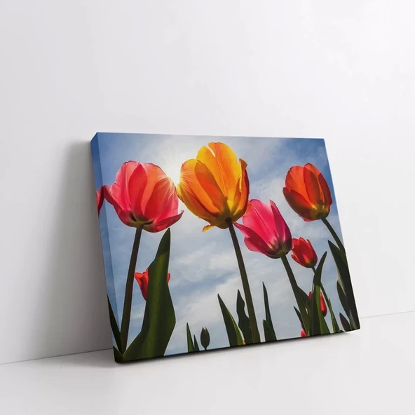 Pembe Sarı Laleler Kanvas Tablo - Resim 2