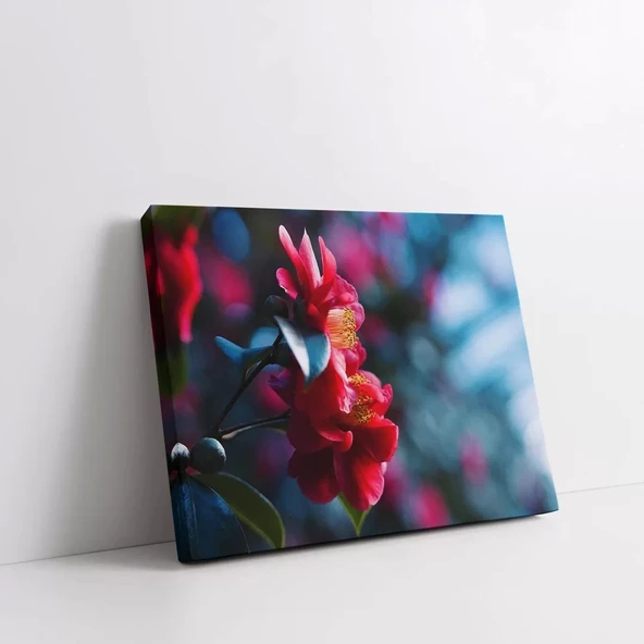 Kamelya Çiçeği Kanvas Tablo - Resim 2