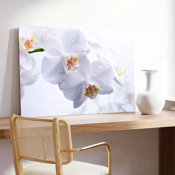 Beyaz Orkide Kanvas Tablo - Resim 3