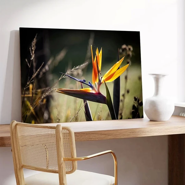 Starliçe Çiçekler Kanvas Tablo - Resim 3