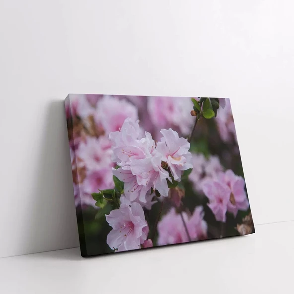 Pembe Açelyalar Kanvas Tablo - Resim 2