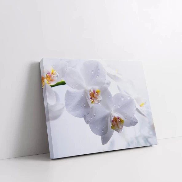 Beyaz Orkide Kanvas Tablo - Resim 2