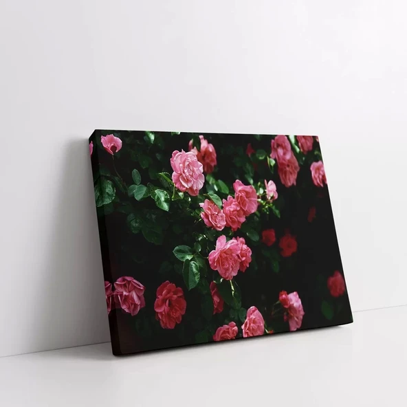 Pembe Gül Çiçekleri Kanvas Tablo - Resim 2