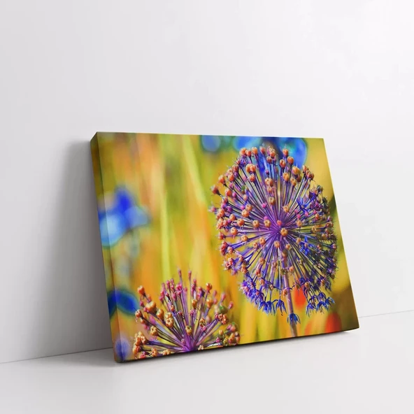 Karahindiba Kanvas Tablo - Resim 2