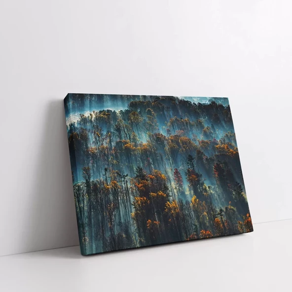 Sonbahardaki Orman Kanvas Tablo - Resim 2