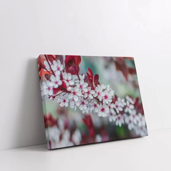 Kiraz Çiçekleri Kanvas Tablo - Resim 2