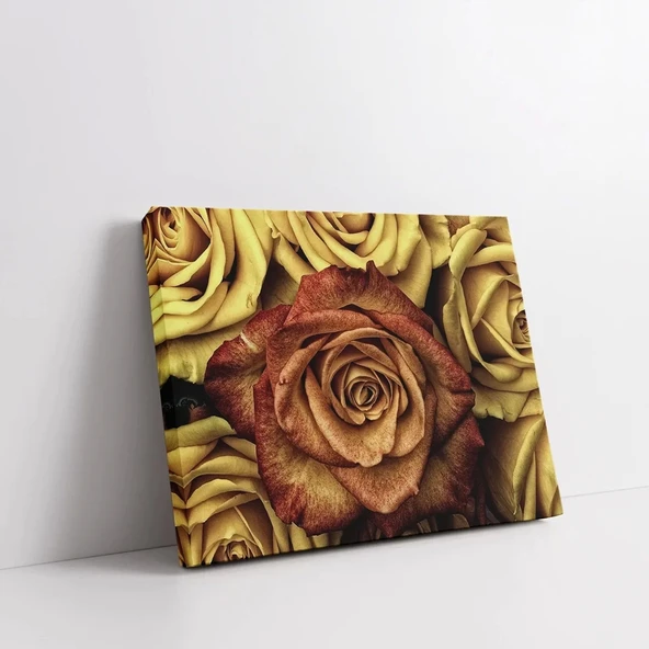 Sarı Gül Kanvas Tablo - Resim 2