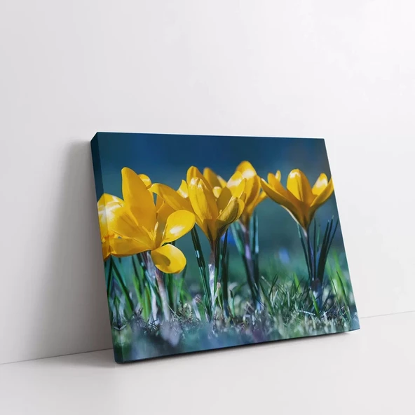 Sarı Laleler Kanvas Tablo - Resim 2