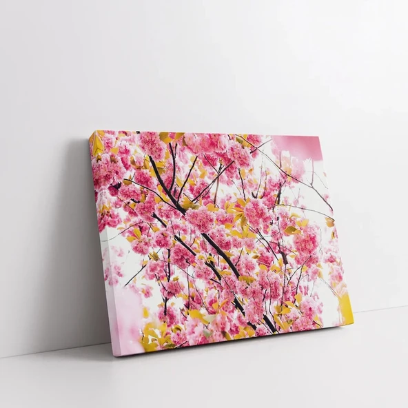 Şeftali Çiçeği Kanvas Tablo - Resim 2