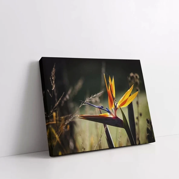 Starliçe Çiçekler Kanvas Tablo - Resim 2