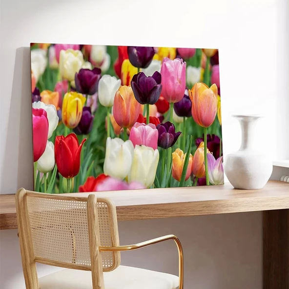 Renkli Laleler Kanvas Tablo - Resim 3