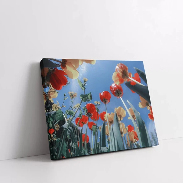 Gökyüzüne Uzanan Gelincikler Kanvas Tablo - Resim 2
