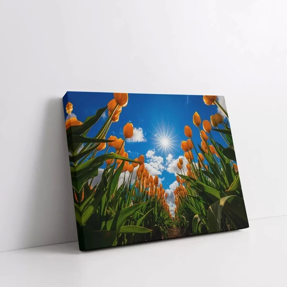 Gökyüzüne Uzanan Sarı Laleler Kanvas Tablo - Resim 2