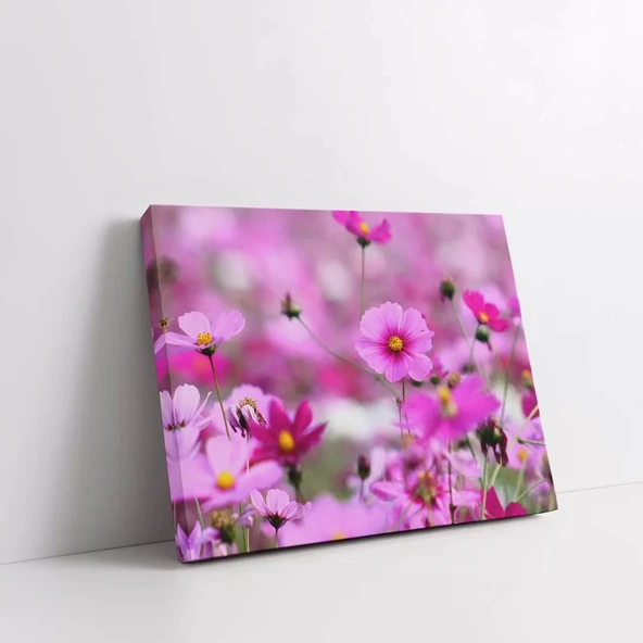 Cosmos Çiçek Kanvas Tablo - Resim 2