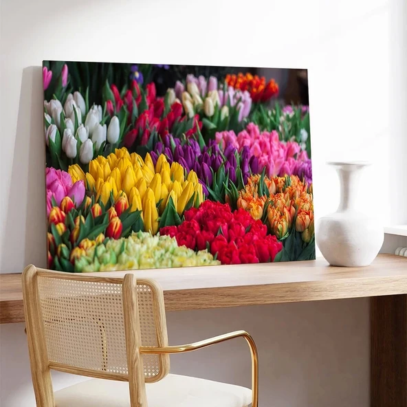 Rengarenk Laleler Kanvas Tablo - Resim 3