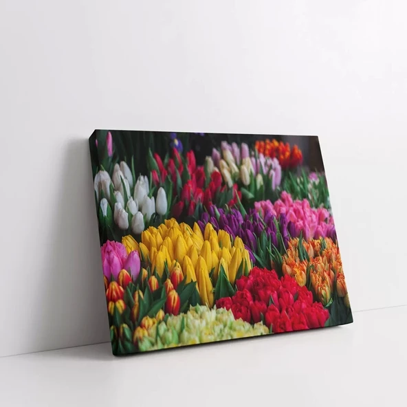 Rengarenk Laleler Kanvas Tablo - Resim 2