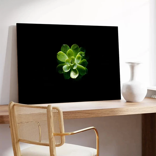 Yapraktaki Damla Kanvas Tablo - Resim 3