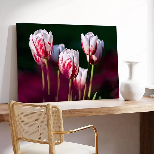 Pembe Lale Kanvas Tablo - Resim 2