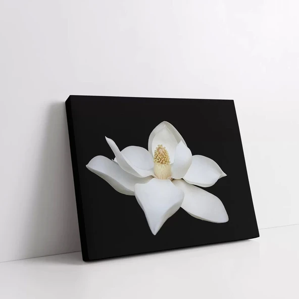 Orkide Kanvas Tablo - Resim 2