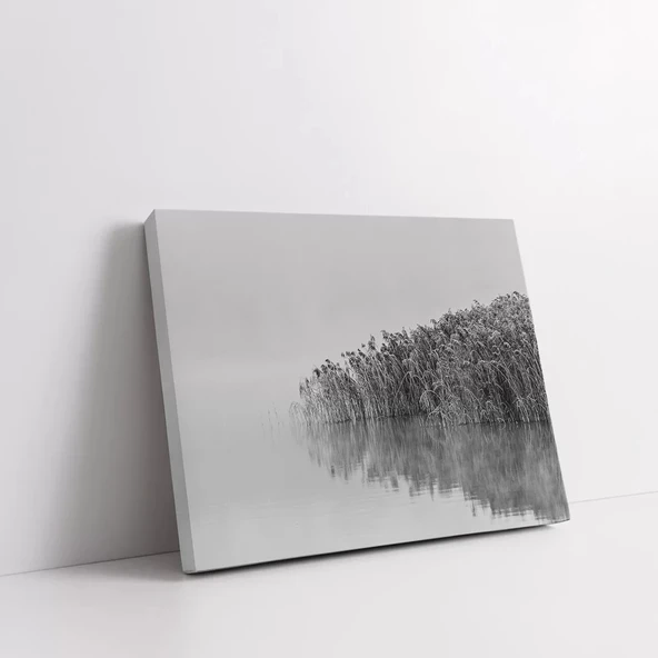 Sisler İçinde Orman Kanvas Tablo - Resim 2