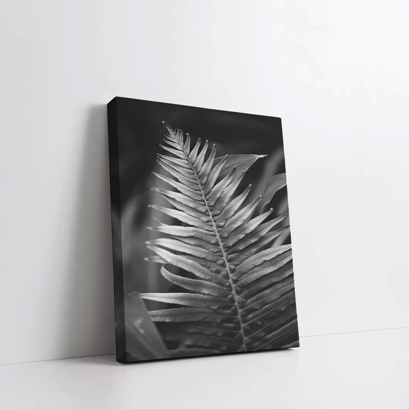 Doğanın Detayı Kanvas Tablo - Resim 2