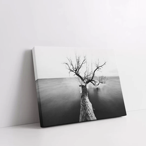 Kışın Kalbi Kanvas Tablo - Resim 2