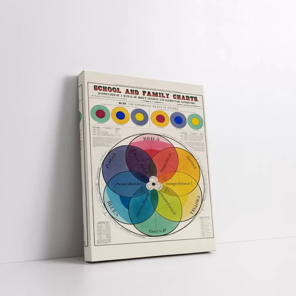 Renk Çarkı Kanvas Tablo - Resim 2